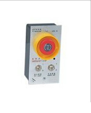 Pit Inspection Box(Old Version)
		