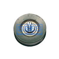 Hanger Roller with Eccentric